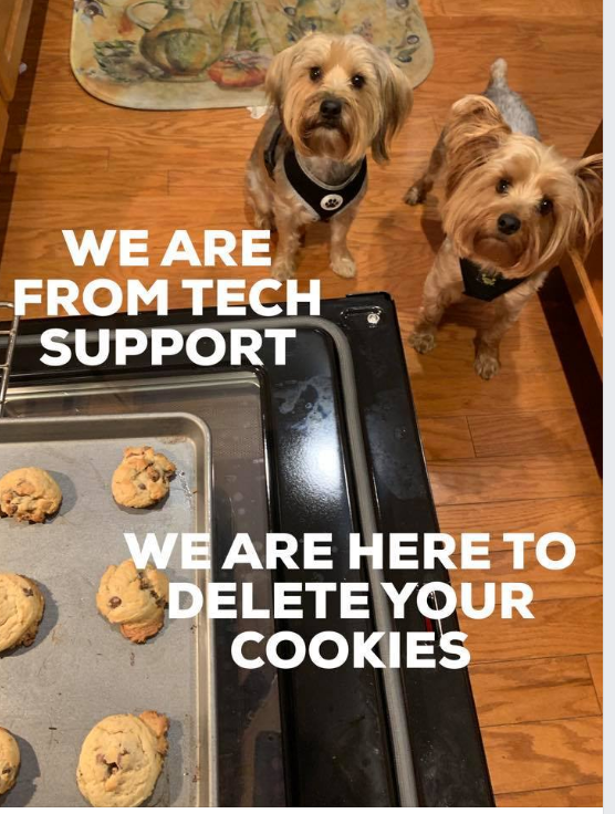 Dogs begging for cookies on a sheet pan 